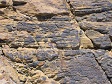 Ocean Rock Texture (2).jpg